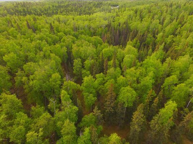 DJI_0166