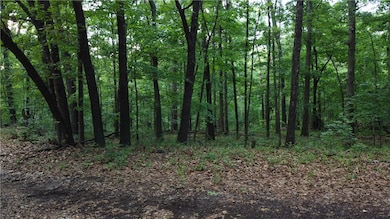 0 Linfield Ln unit 1276166, Bella Vista, AR 72715 - photo 3