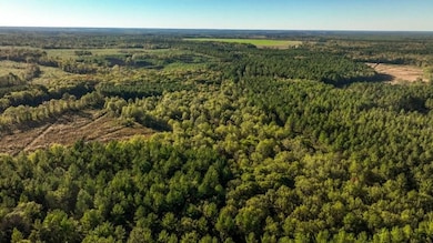 Scarboro Landing, Millen, GA 30442 - photo 3