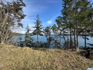 398 Daisey King Rd, Sequim, WA 98382 - photo 5