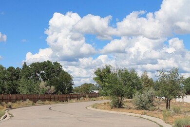 Lot B Tucker Ln, Cortez, CO 81321 - photo 4