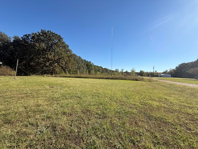 131 Corey Ln, New Houlka, MS 38850 - photo 3