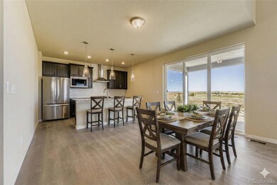 13801 Daffodil Way, Parker, CO 80134 - photo 5
