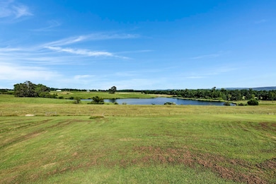 377 County Road 543, Hanceville, AL 35077 - photo 6