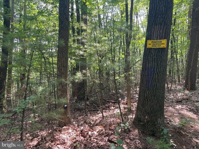 0 Long Run Rd, Pine Grove, PA 17963 - photo 6