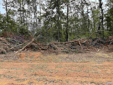 21428 Holland Rd, Athens, AL 35614 - photo 2