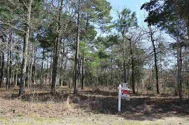 3045 Stonegate Blvd, Tyler, TX 75703 - photo 4