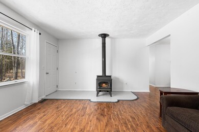 Living Room Woodstove