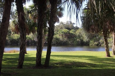 View from the fenced yard