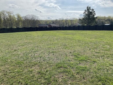 721 Mapleview Dr, Shelbyville, TN 37160 - photo 7