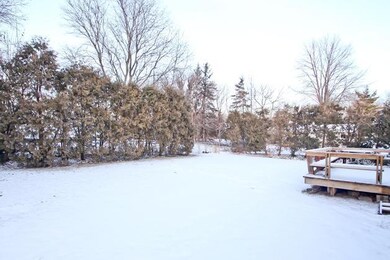 Additional Photo