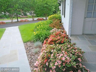 7116 Park Terrace Dr, Alexandria, VA 22307 - photo 5