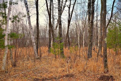 0 Jeffries Rd unit 1506560, Webster, WI 54893 - photo 4