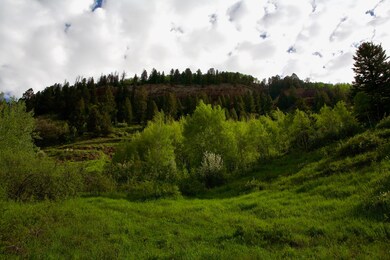 IMG_6045