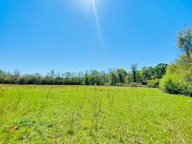 000 S Mary Topps Rd, Franklinton, LA 70438 - photo 7