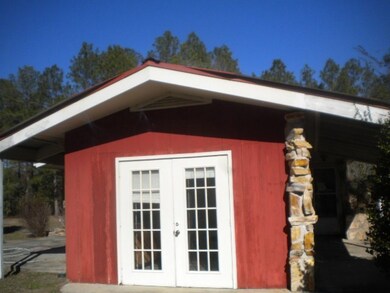 977 Jaybird Springs Rd, Chauncey, GA 31011 - photo 2