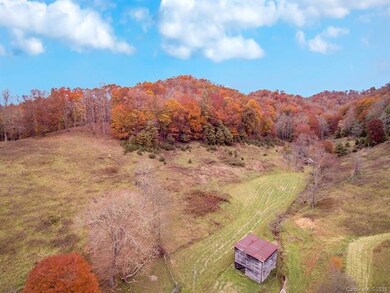 0 Duncan Rd, Jacks Creek, NC 28714 - photo 5