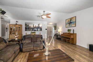 cat-living-room-3a9652