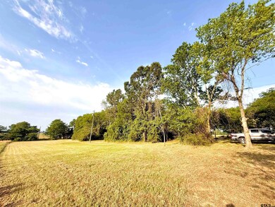 3235 County Rd 3365, Cookville, TX 75558 - photo 6