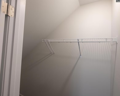 748 S Long Star Way, Elgin, SC 29045 - photo 4