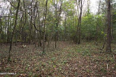 1864 Bushville Hwy, Arnaudville, LA 70512 - photo 3