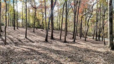 888 Old Hundred Rd, Pelzer, SC 29669 - photo 6