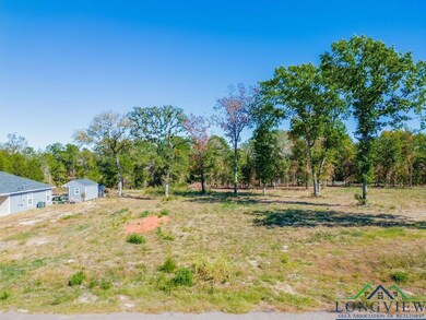 TBD Angus Rd, Big Sandy, TX 75755 - photo 2