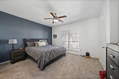 This spacious bedroom features a modern design with a dark accent wall, plush carpeting, and ample natural light from a large window.  Thus creating an inviting and cozy atmosphere.