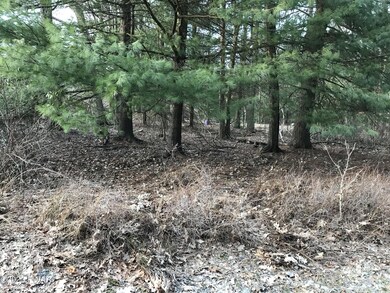 21 Coyote Ridge, Hawley, PA 18428 - photo 4