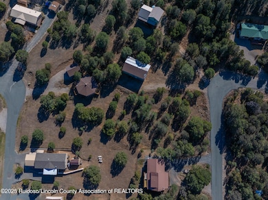 DJI_20251110131853_0480_D