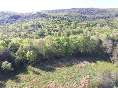 0 Highland Springs Rd unit 1115549, Blaine, TN 37709 - photo 6