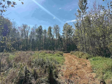 1xxx 460th Ln, Palisade, MN 56469 - photo 3