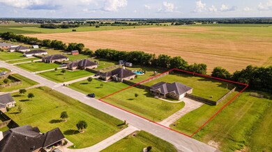 10702 Harry Dr, Needville, TX 77461 - photo 2