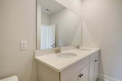 Adger II Owner Bath