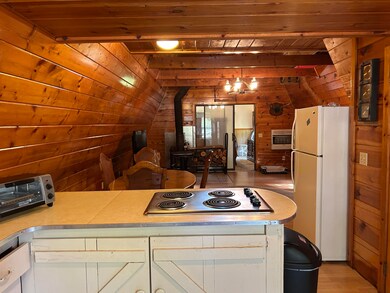 3423 S James Rd, Baldwin, MI 49304 - photo 3