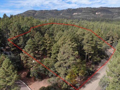 3586 N Pine View Dr, Pine, AZ 85544 - photo 2