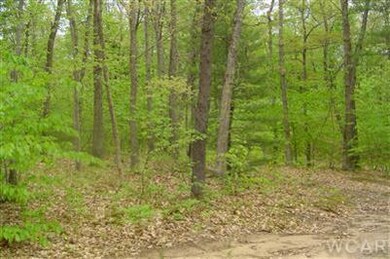 0 N Felch Ave unit 12029443, Sherman Township - Newaygo, MI 49349 - photo 4