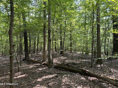 0001 Old Dover Rd, Yazoo City, MS 39194 - photo 3