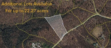 Lot 275, aerial mid