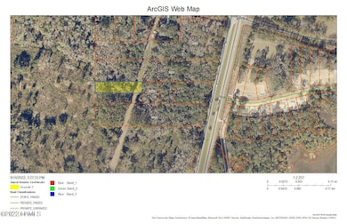 Satellite view pic