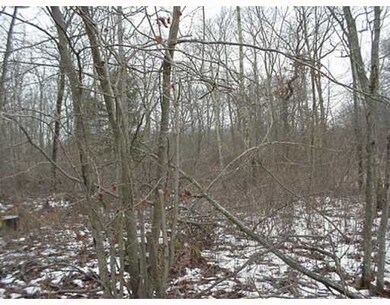 241 Fairview Ave, Rehoboth, MA 02769 - photo 7