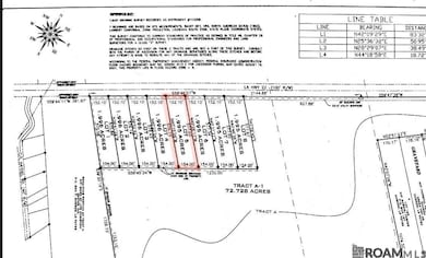 Lot #5 Louisiana 22, Darrow, LA 70725 - photo 2