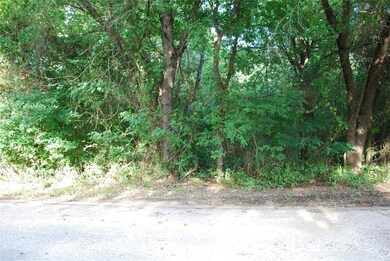 39229 Cedar Park Dr, Whitney, TX 76692 - photo 2