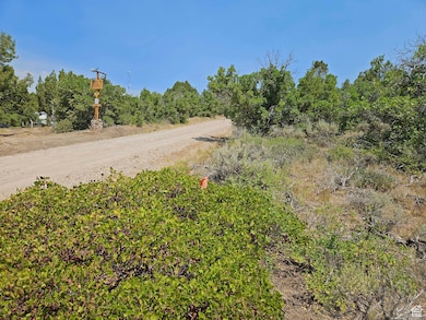 View of dirt / gravel road