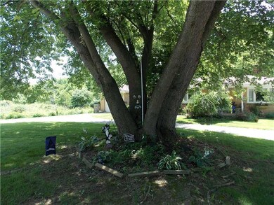 Yard/Garden.