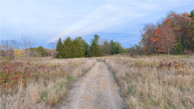 5306 Carmont Ave SW, Navarre, OH 44662 - photo 2