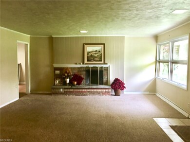 Spacious Living Room