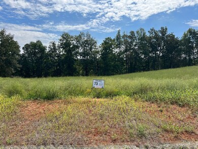 0 Hidden River Rd unit RTC3065326, Rock Island, TN 38581 - photo 2