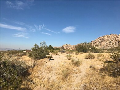 7137 Mount Lassen Ave, Joshua Tree, CA 92252 - photo 7