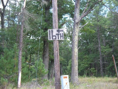 3429 W 16th St, Baldwin, MI 49304 - photo 2